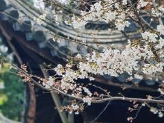 -龙华寺