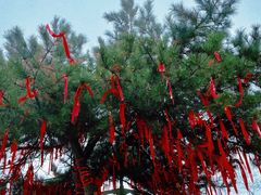 -终南山南五台景区