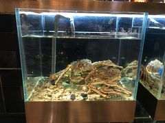 -璞御·海鲜·雪花牛肉局(宾水西道店)