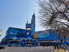 -海合安青岛极地海洋公园