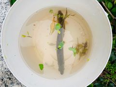 -兰溪青年公园