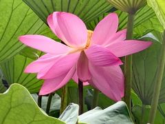 -长春市南湖公园