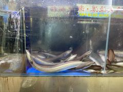 -本炙炭烤·蒲烧活鳗料理店(金沙洲店)