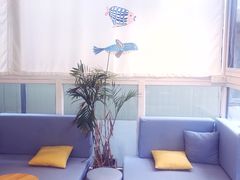 -有猫主题·治愈系猫咖(曾厝垵店)