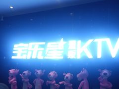 -宝乐星量贩KTV(莲升路店)