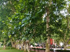 -同济大学(嘉定校区)