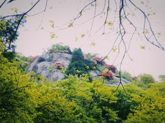 -南岳衡山风景名胜区