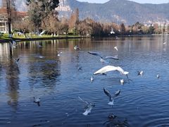 -云南滇池花园国际大酒店温泉