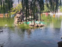 -团结湖公园
