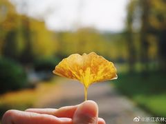 -浙江农林大学(东湖校区)