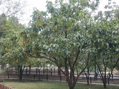 -毛泽东同志旧居