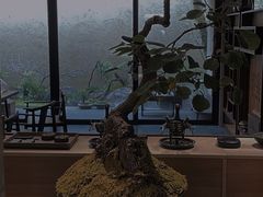 -苏州本色美术馆