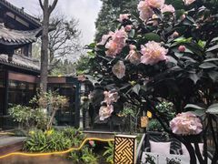 -大妙火锅·非物质文化遗产(东湖公园店)