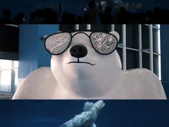 -泉城欧乐堡海洋极地世界