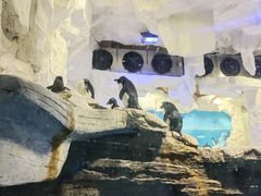 -华夏文旅海洋公园