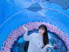 -福州欧乐堡水上乐园