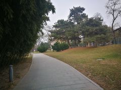 -和园景逸大酒店朗月汤泉