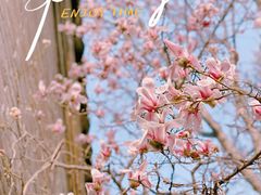 -永定门公园