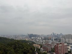 -福道