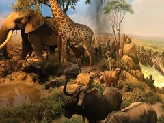 -陕西自然博物馆