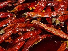 -大虎重庆老火锅(正弘城店)