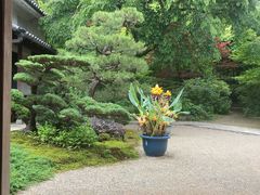 -常寂光寺