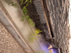 -大榕树下顺德菜(融创茂店)