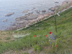 -燕儿岛山公园