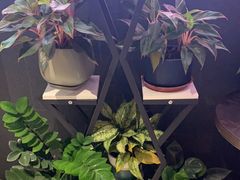 -渝乡辣婆婆·川菜 水煮鱼(中山西路店)