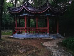 -云岗森林公园