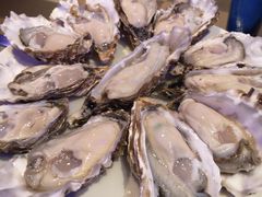 -千岛蚝高压锅生蚝·人参火锅(白云万达店)