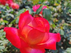 -人民公园(罗湖区)