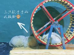 -大连圣亚海洋世界