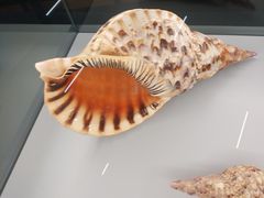 -天津古林古海岸遗迹博物馆