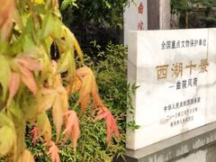 -龙井壹号·茶缘山景宴(龙井村店)