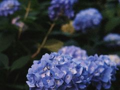 -常州古运河南大街文化旅游区-人民公园