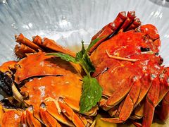 -望乡楼上海菜(日月光店)