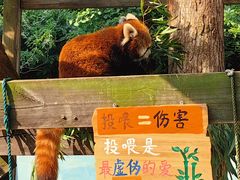 -无锡动物园·太湖欢乐园