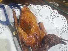 -石岐乳鸽村(南海第三分店)