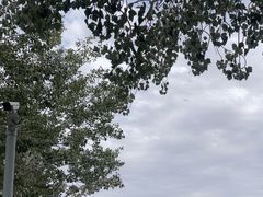 -敦煌石窟文物保护研究陈列中心