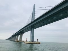 -港珠澳大桥(珠海段)