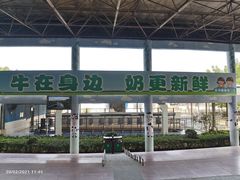 -光明农场大观园
