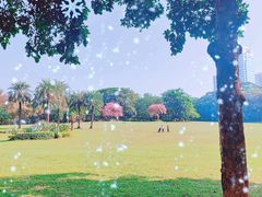 -荔香公园
