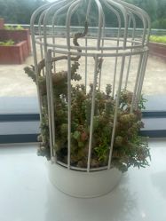 -爱儿美儿童摄影(奥森公园店)
