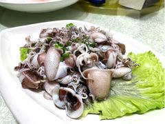 白灼小叽咕-开鑫鱼厂·宁波海鲜(前程智慧城店)