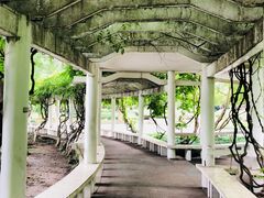 -范蠡湖公园