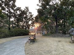 -黄兴公园