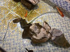 -向阳庄烧烤店(望京西园店)