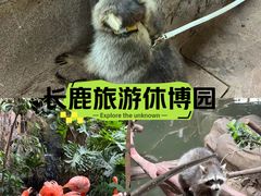 -长鹿旅游休博园