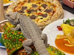 -FAIRYLAND龙族星球主题餐厅(凯丹广场店)